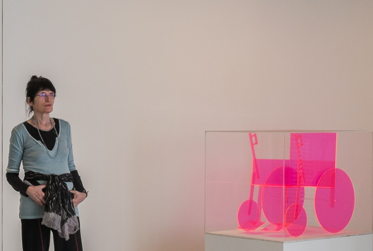 Visitor viewing a contemporary art exhibit featuring a pink illuminated sculpture in a display case next to informational texts on a white wall.