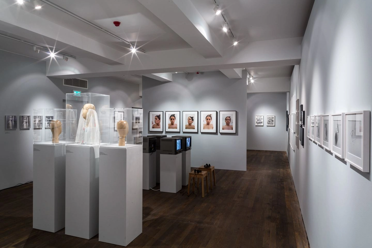 Modern art gallery showcasing an exhibition of portrait drawings in red frames on white pedestals, sculptures in glass cases, and additional artworks on gray walls, complemented by directional ceiling lighting on wooden flooring.