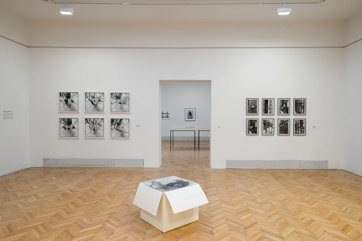 Ein heller Ausstellungsraum im Haus of Arts in Brno mit einer Tür in Mitten der Wand ist zu sehen. Auf den Wänden befinden sich Fotographien und in der Mitte eine weiße Kiste.