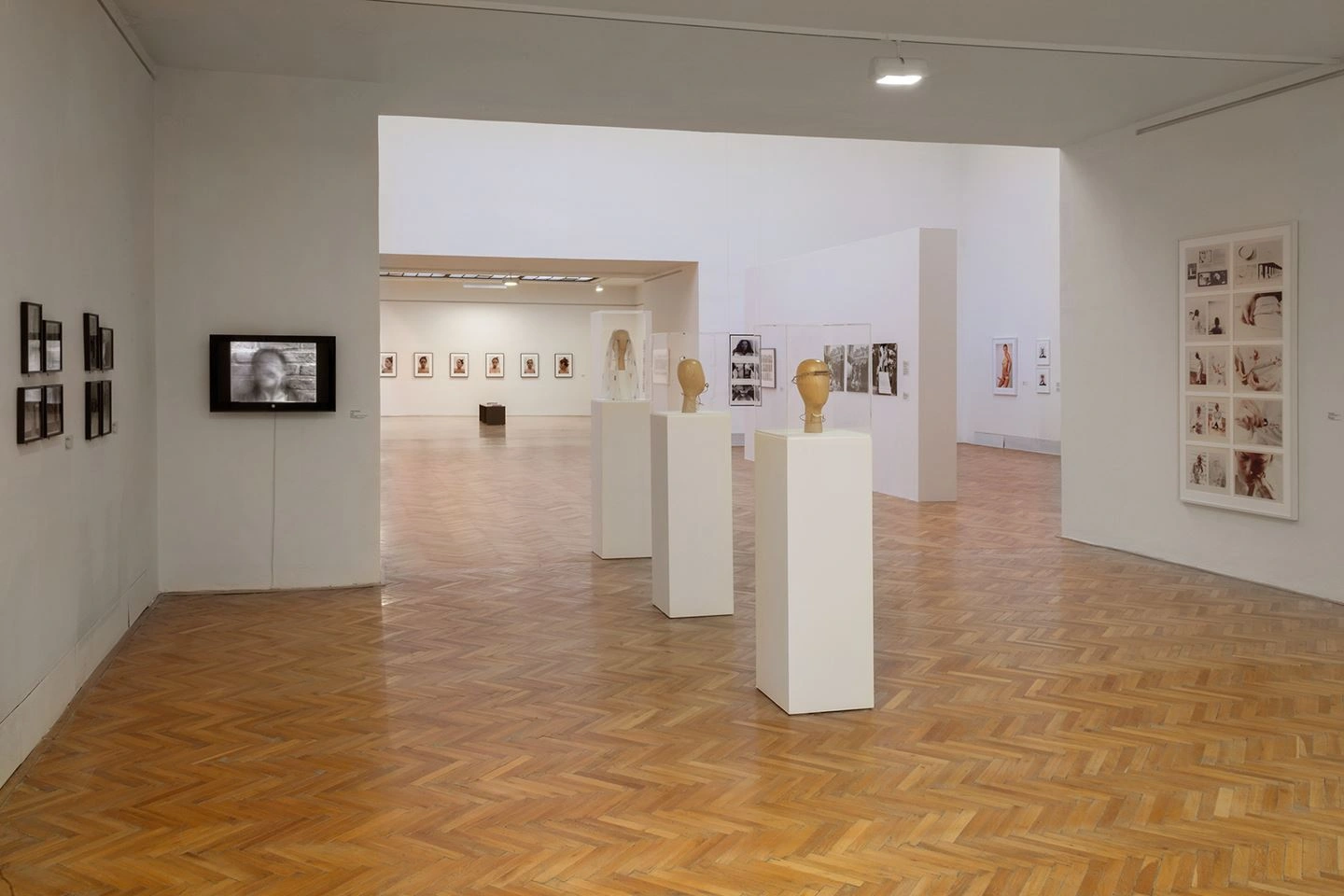 An exhibition room can be seen in which several photographs hang on the walls. The light is rather darker and in the middle of the room there are showcases with wooden model heads