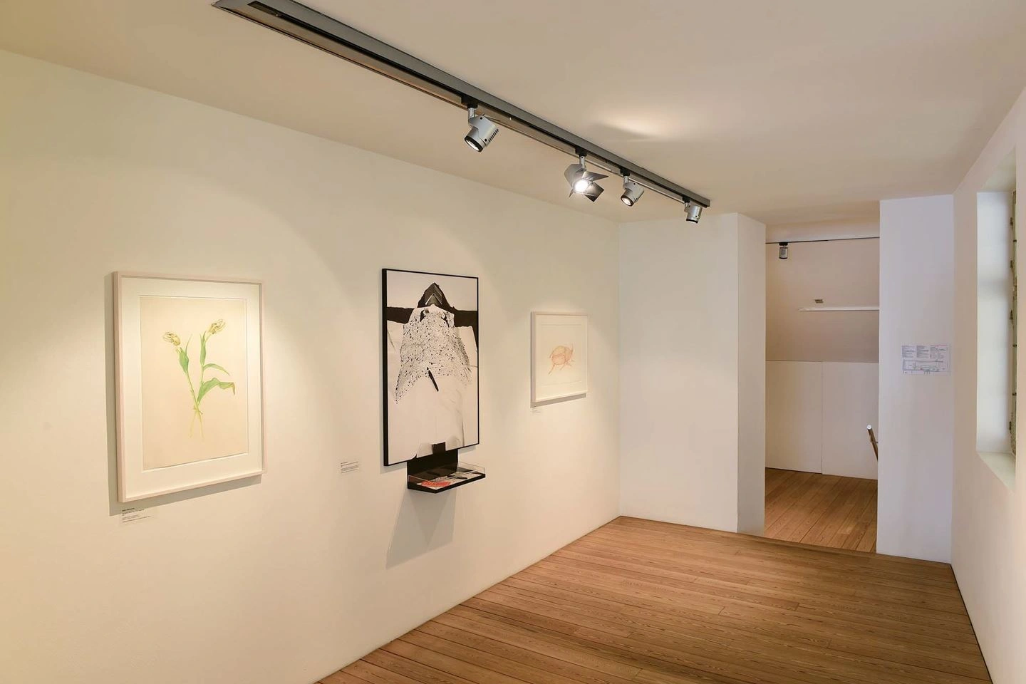 Small art gallery with parquet flooring and white walls showcasing various contemporary artworks, including a painting of a plant, an abstract black and white piece, and a delicate drawing, illuminated by ceiling spotlights.